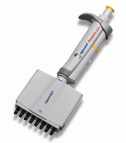 Multichannel microliter pipettes Eppendorf Research<sup>®</sup> plus (General Lab Product), variable